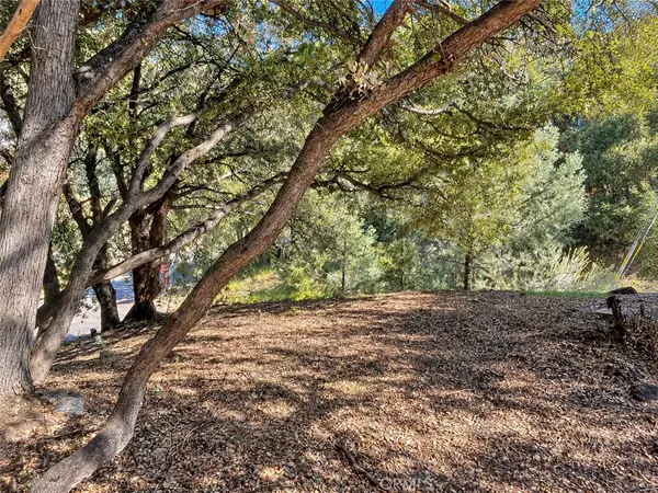 2117 Alder Court, Pine Mountain Club, CA 93222