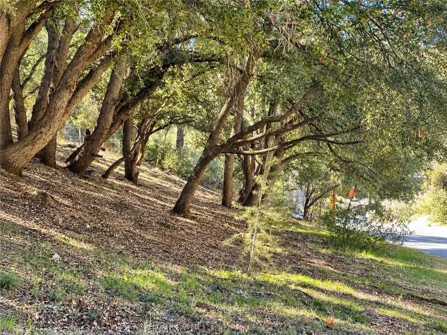 2117 Alder Court, Pine Mountain Club, CA 93222 - #2