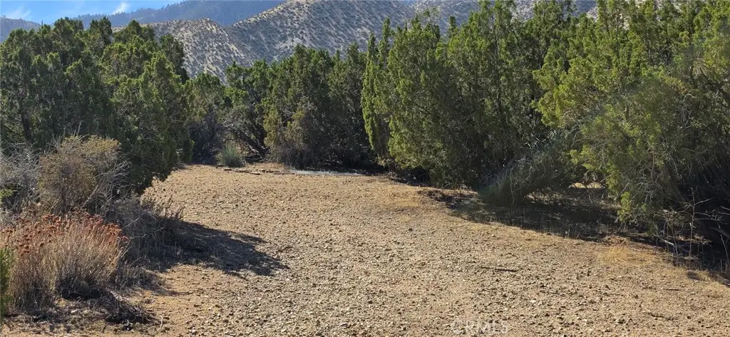 0 121st, Juniper Hills, CA 93543 - #1