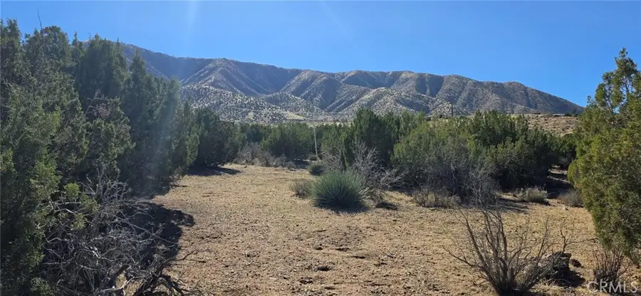 0 121st, Juniper Hills, CA 93543 - #2