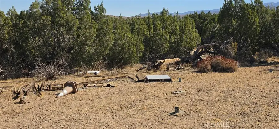 0 121st, Juniper Hills, CA 93543 - #3