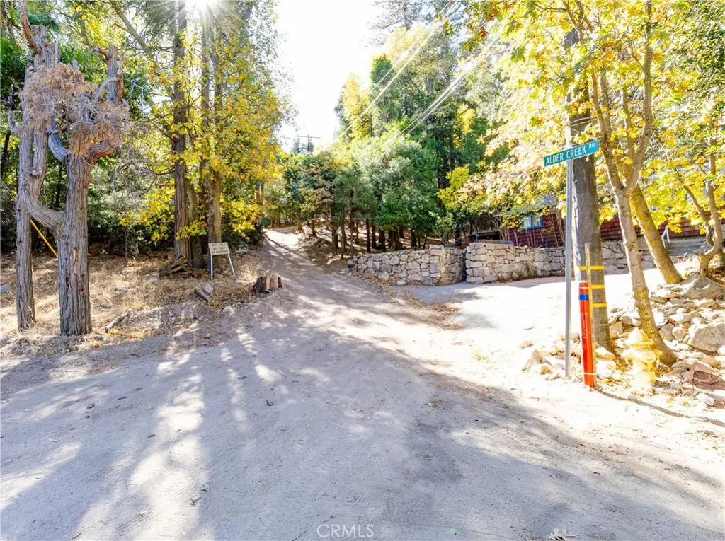 0 Alder Creek Road, Cedarpines Park, CA 92322 - #1