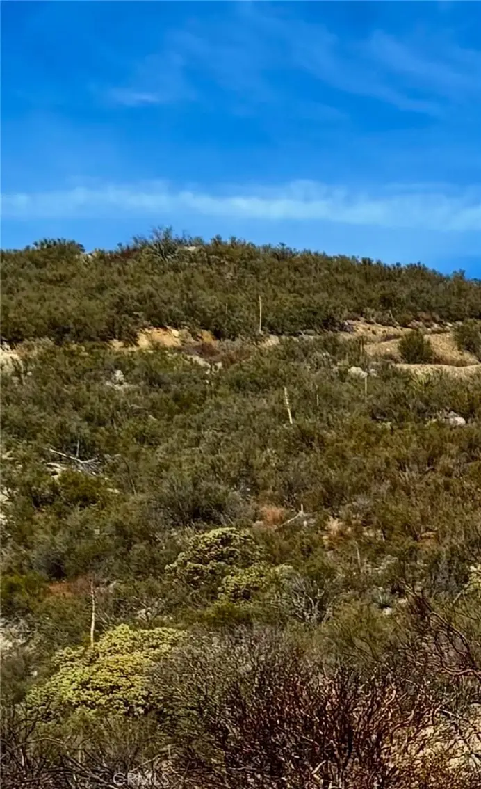 0 Howard Road, Anza, CA 92539 - Image #1