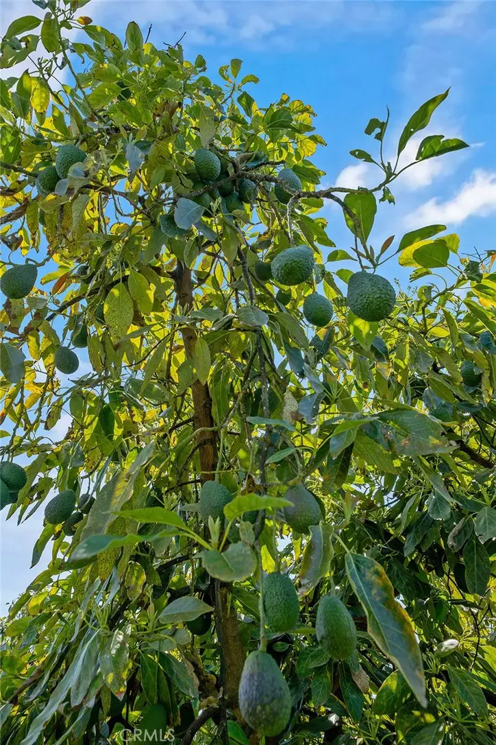 48825 Via Vaquero, Temecula, CA 92590 - #3