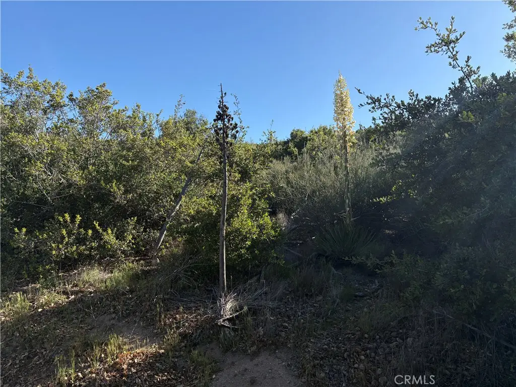 0 Twin Pines Road, Banning, CA 92220 - Image #1