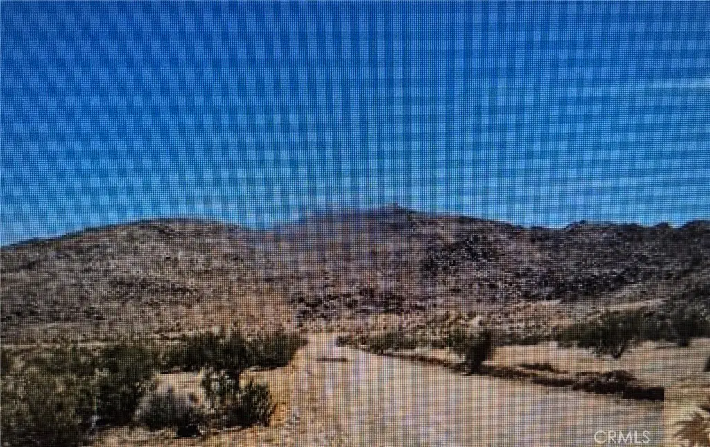 0 Lot 13 Benji Ave Avenue, Joshua Tree, CA 92252 - #1