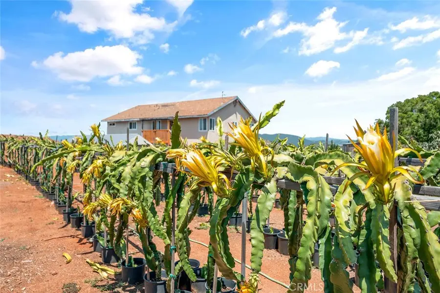 1996 Rainbow Glen Road, Fallbrook, CA 92028 - #3