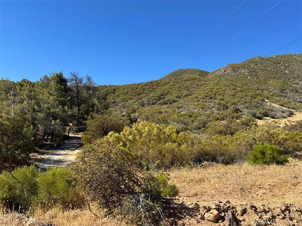0 Chapman Road, Anza, CA 92539 - #1