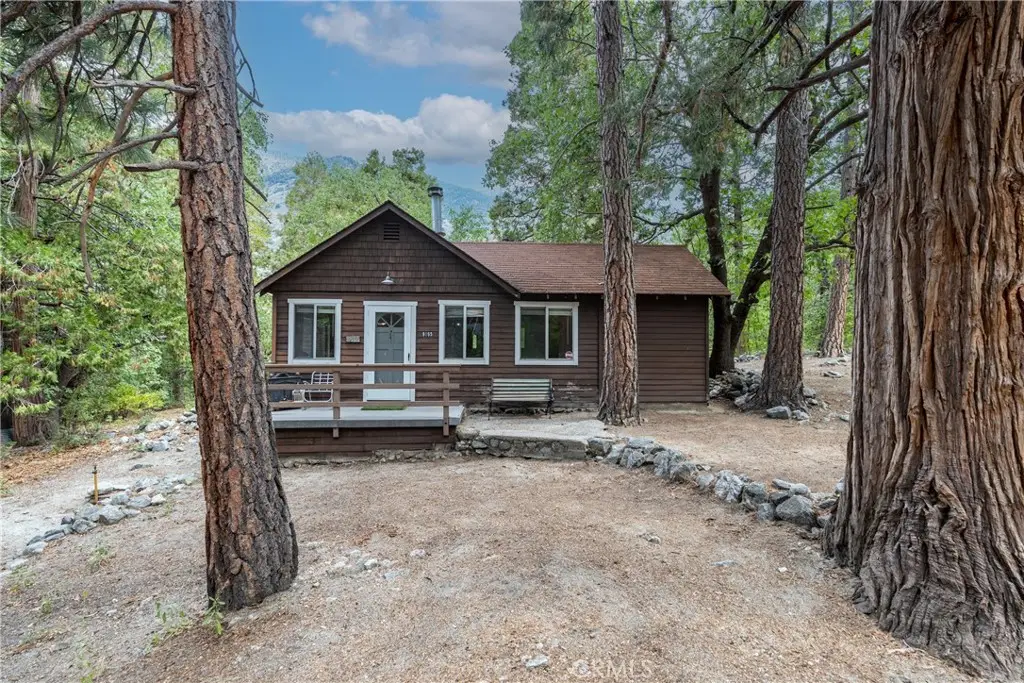 9165 Coffey Road, Forest Falls, CA 92339 - #1