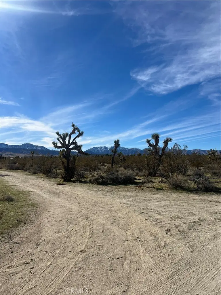 206 S Cor Ave X Largo Vista 2, Llano, CA 93544 - Image #3