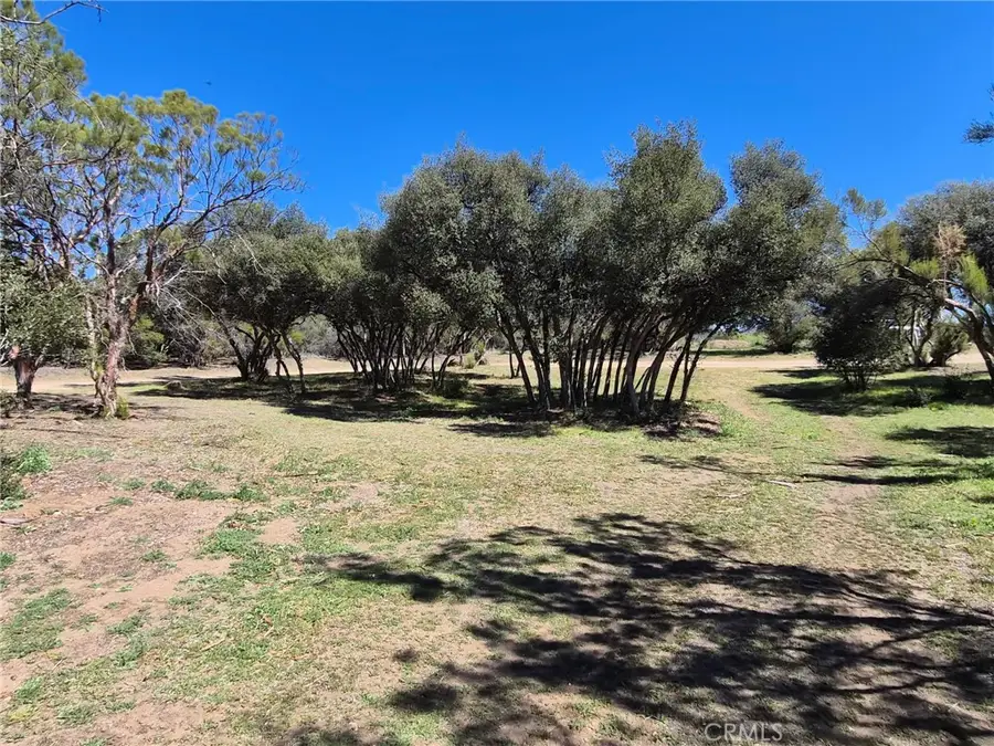 38295 Indian Road, Anza, CA 92539 - #2