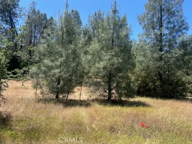 0 Coalinga, San Benito Bitterwater, CA 93210 - #3