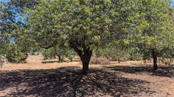 0 Irma, Perris, CA 92570