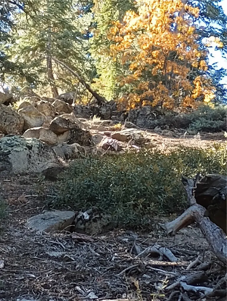 0 Cherry, Big Bear Lake, CA 92315 - #2