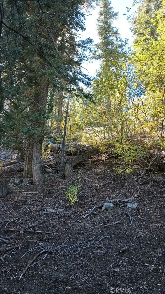 0 Cherry, Big Bear Lake, CA 92315 - #3
