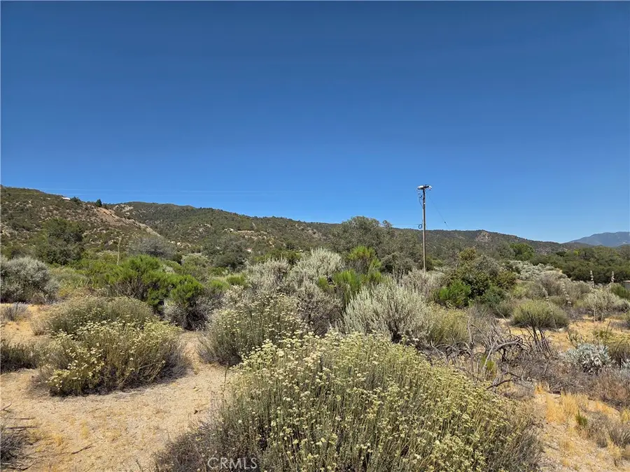 37310 Bohlen, Anza, CA 92539 - #3