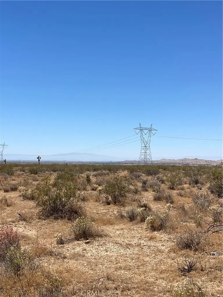 0 195th, Llano, CA 93591 - #1