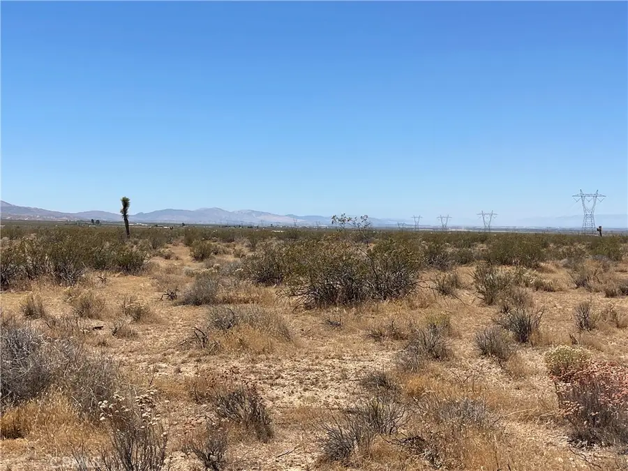 0 195th, Llano, CA 93591 - #3