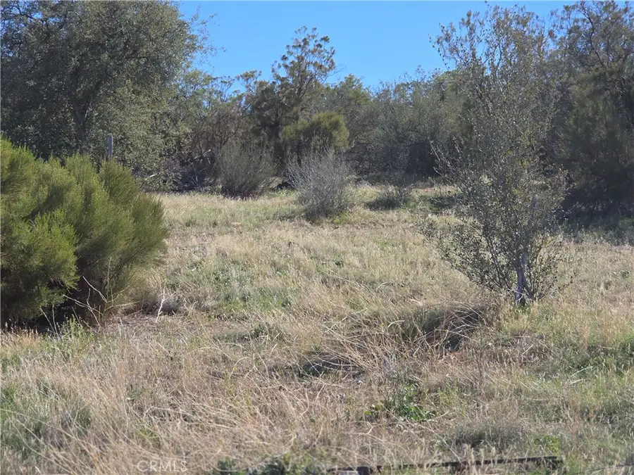 0 Taron Trail, Anza, CA 92539 - #2