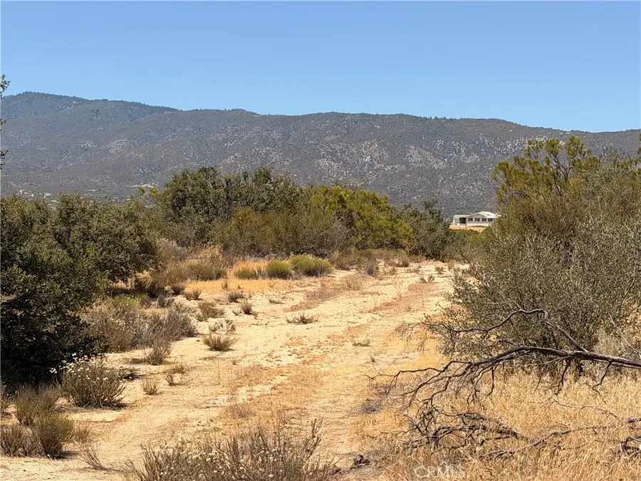 90002 Wellman, Anza, CA 92539 - #3