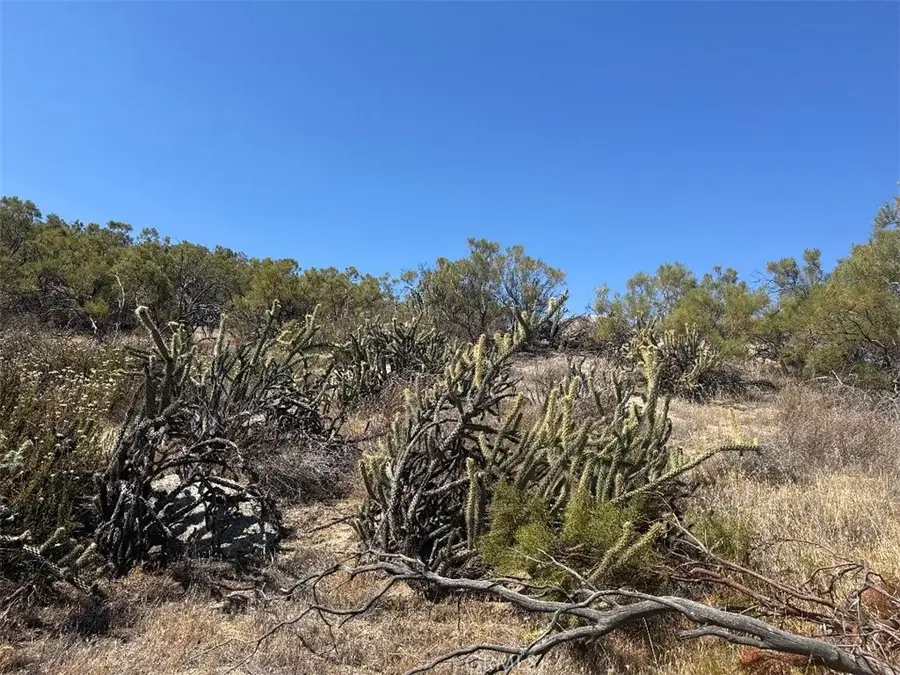 0 Shortcut Trail, Aguanga, CA 92536 - #2