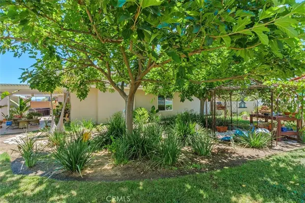 24700 Corte Gambino, Murrieta, CA 92562