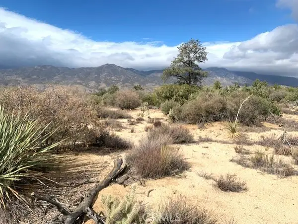368 Palm Canyon Drive, Mountain Center, CA 92561