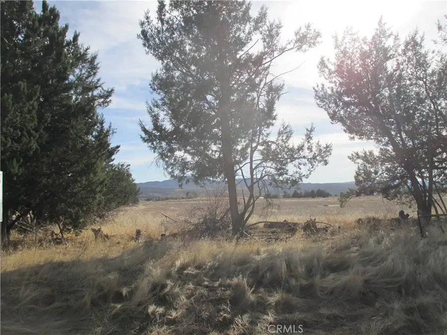 0 Highway 371, Anza, CA 92539 - #2