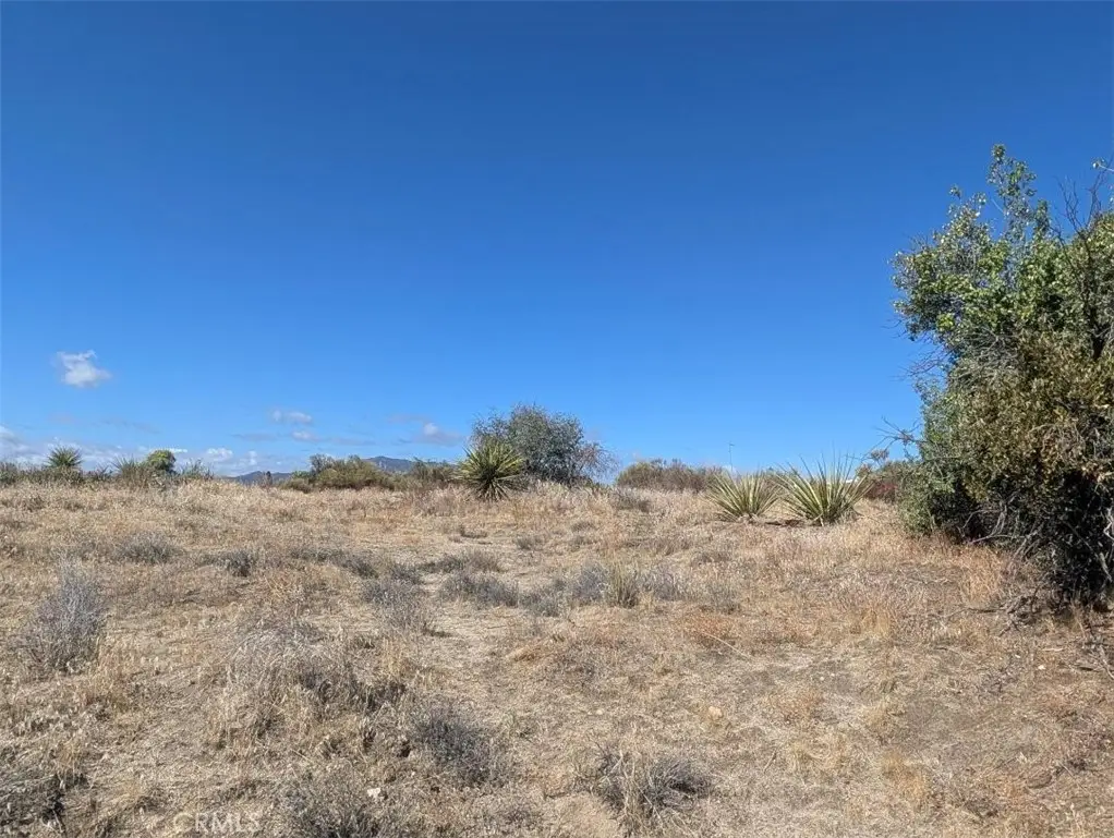 0 Old Forest Road, Anza, CA 92539 - #1