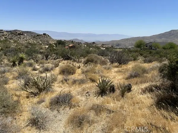 7 Carrizo Road, Mountain Center, CA 92561