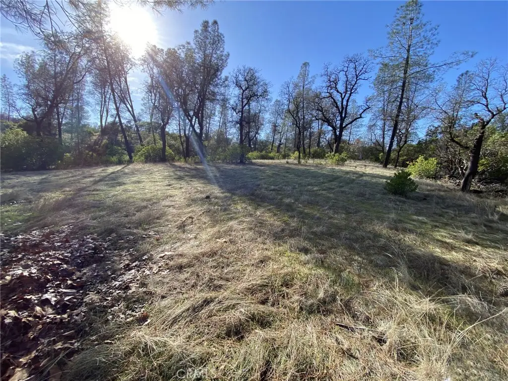 15785 Placer Court, Corning, CA 96021 - #1