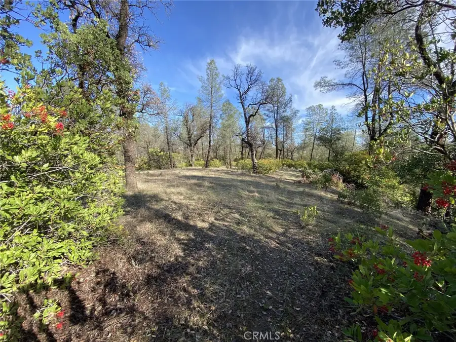 15785 Placer Court, Corning, CA 96021 - #2