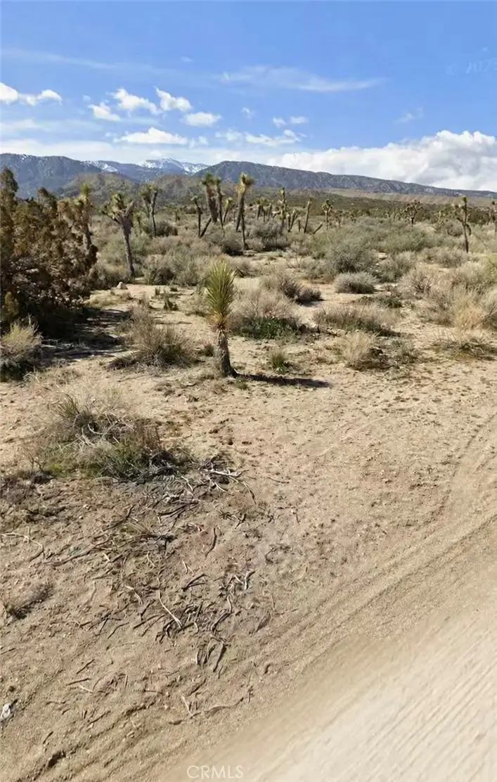 0 E Avenue Z, Llano, CA 93544 - #2
