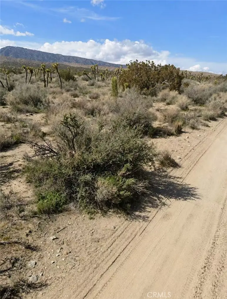 0 E Avenue Z, Llano, CA 93544 - #3