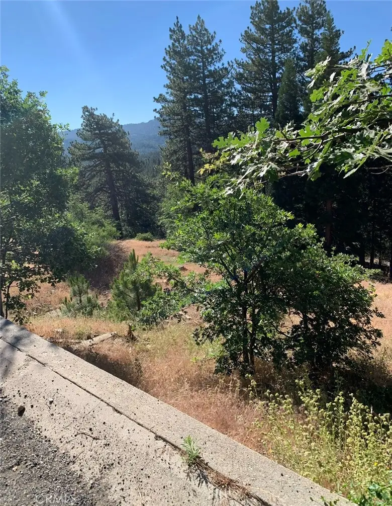 31533 Circle View Drive, Running Springs, CA 92382 - #1