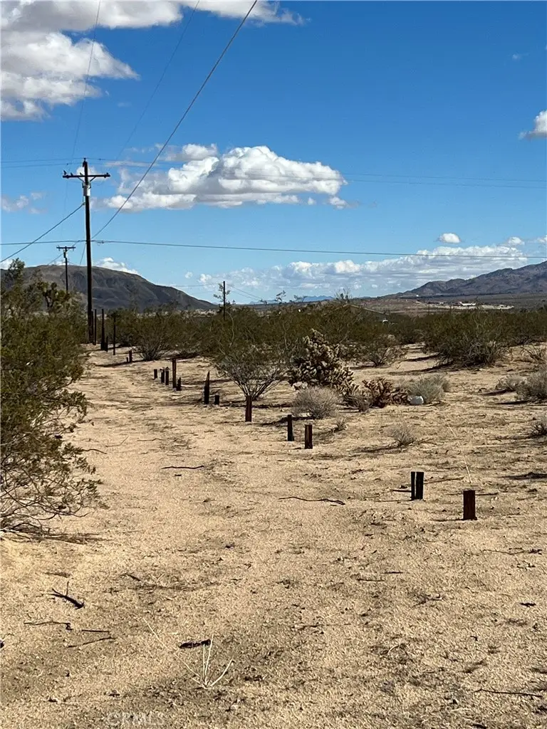 0 Uranium Road, Joshua Tree, CA 92252 - #3