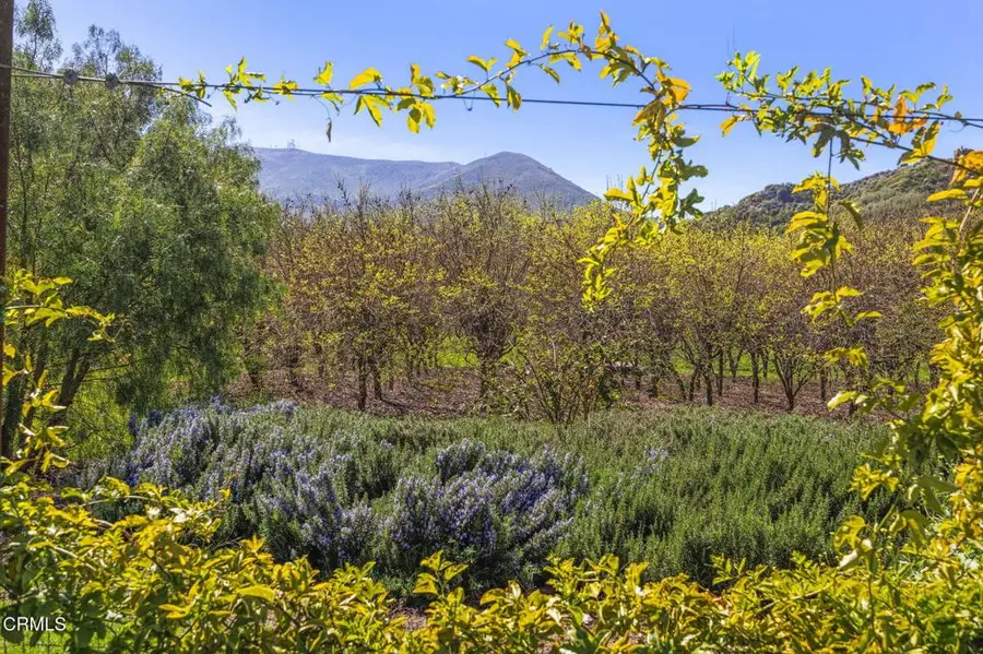 4620 Casitas Pass Road, San Buenaventura Ventura, CA 93001 - #3