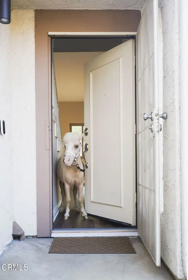 2321 Pima Lane, Ventura, CA 93001