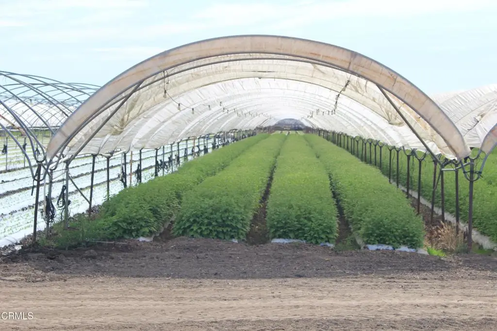 0 Wood Road, Oxnard, CA 93033 - #1