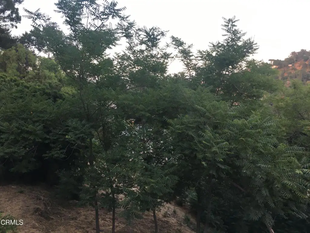 O Earl Apn 5422-009-040 Court, Los Angeles, CA 90039 - #1