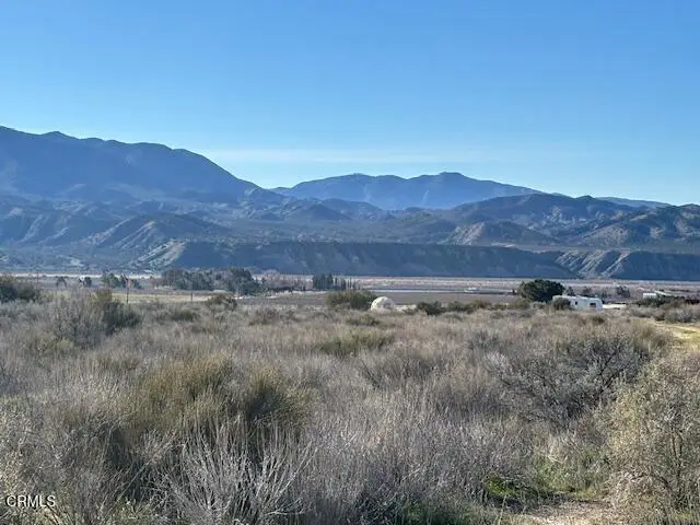 520 Quatal Canyon Road, Cuyama, CA 93254 - #2