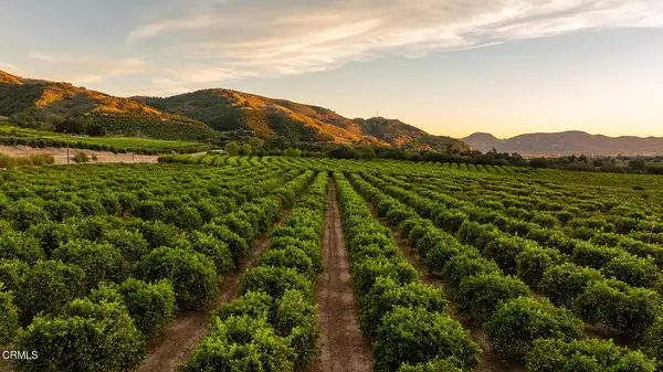 0 Goodenough Rd Street, Fillmore, CA 93015