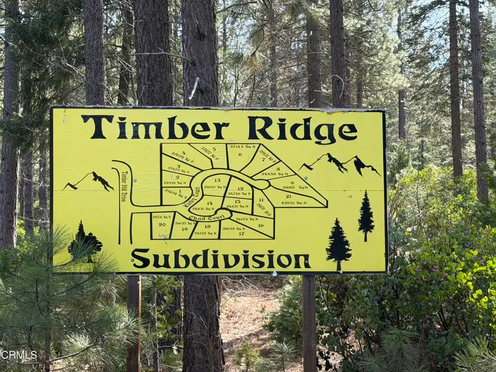 16 Chad Court, Burney, CA 96013 - #1