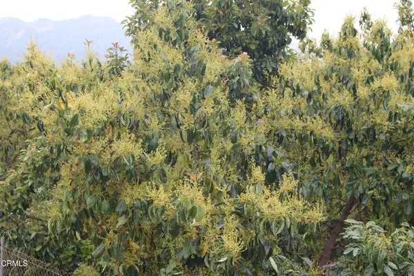 0 Camulos Street, Piru, CA 93040