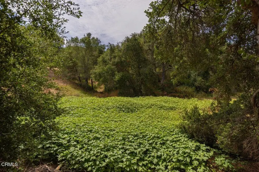 1410 Baldwin Road, Ojai, CA 93023 - #3