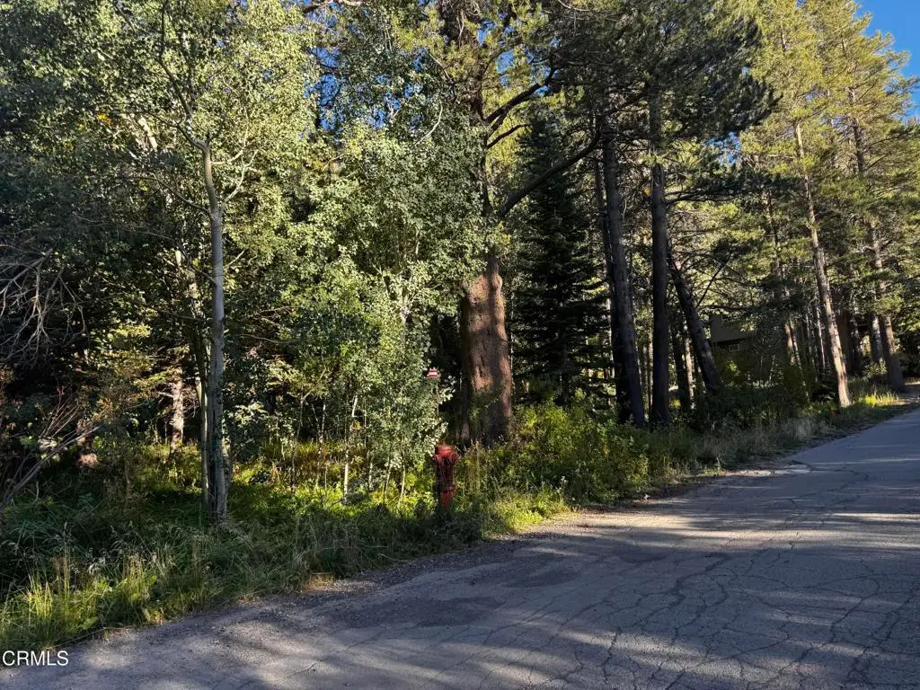 Lot 3 Minaret Road, June Lake, CA 93529 - #1