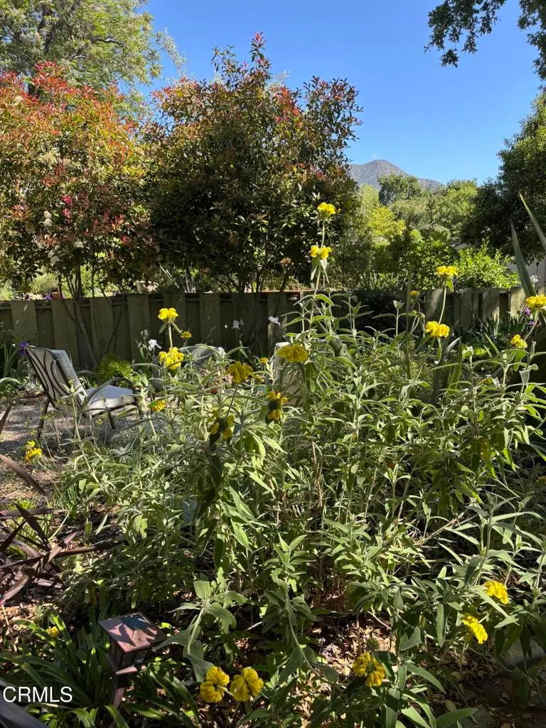 412 N Fulton Street, Ojai, CA 93023 - #3