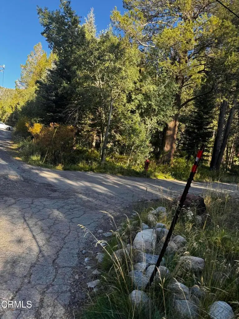 Lot 1 Aspen Grove Lane, June Lake, CA 93529 - #1