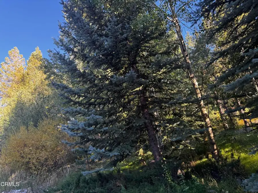 Lot 1 Aspen Grove Lane, June Lake, CA 93529 - #2