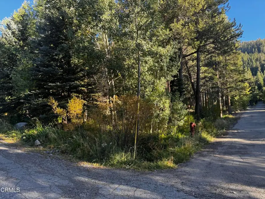 Lot 1 Aspen Grove Lane, June Lake, CA 93529 - #3